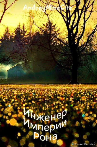 Обложка книги Инженер Империи Рона