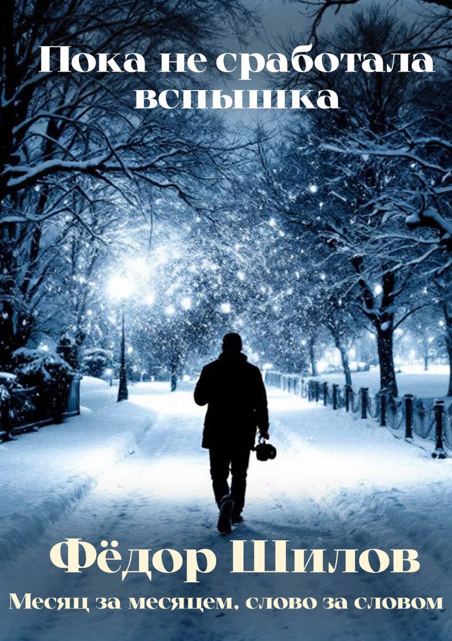 Обложка книги Пока не сработала вспышка