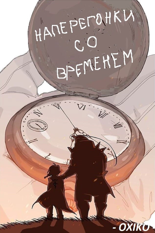 Обложка книги FMA: Наперегонки со временем
