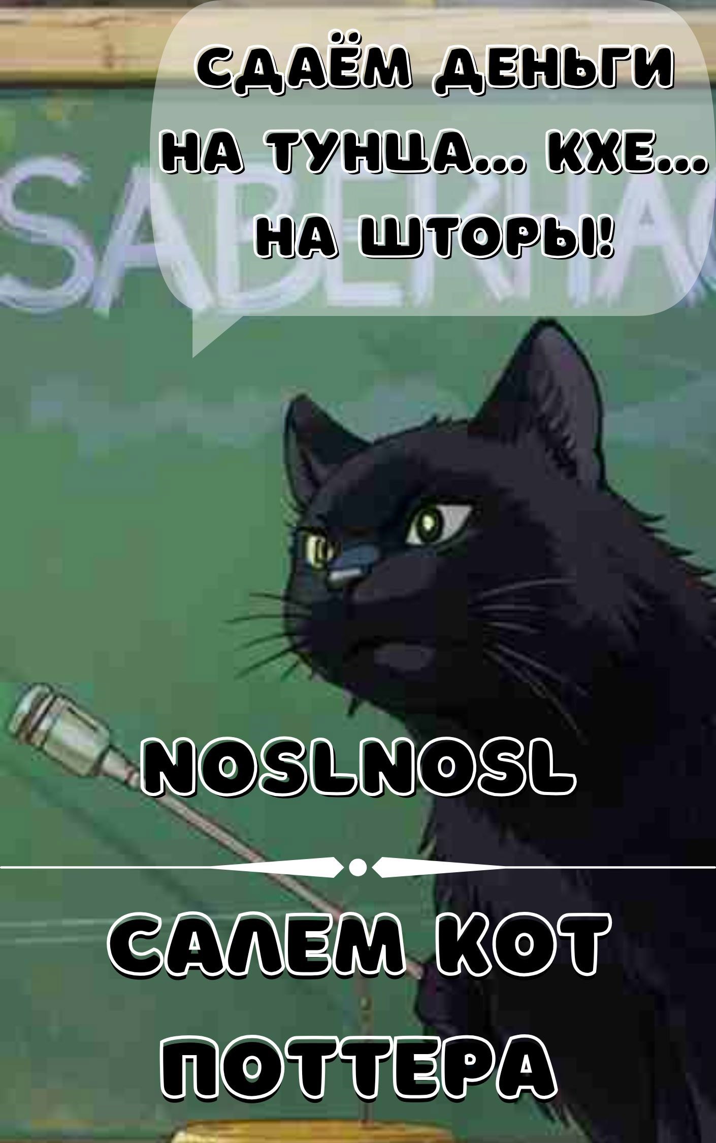 Обложка книги Салем кот Поттера