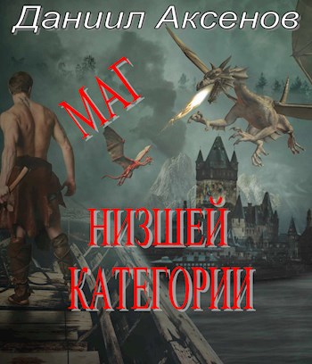 Обложка книги Маг низшей категории