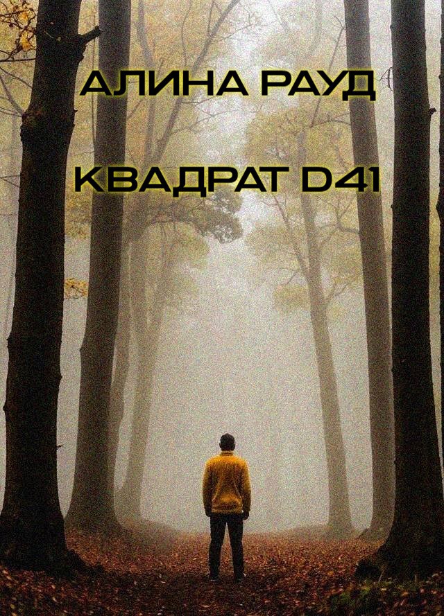 Обложка книги Квадрат D41
