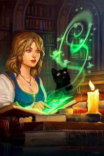 Обложка книги Проблема с заклинанием