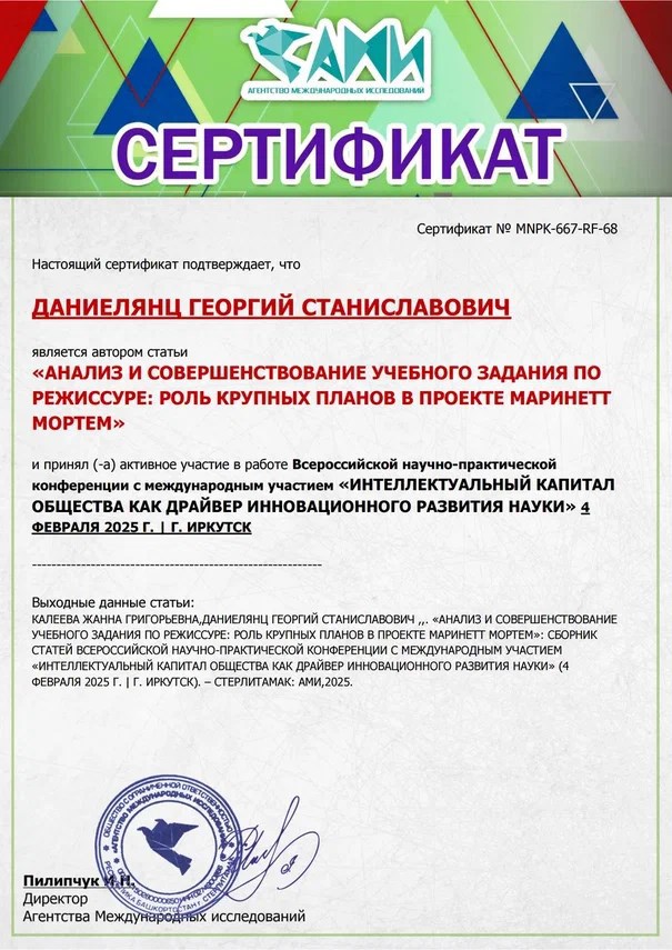Обложка книги Анализ и совершенствование учебного задания по режиссуре: роль крупных планов в проекте Маринетт Мортем