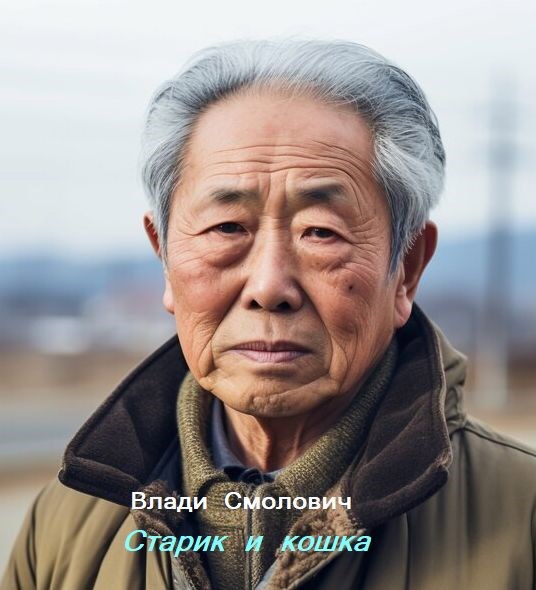 Обложка книги Старик и кошка
