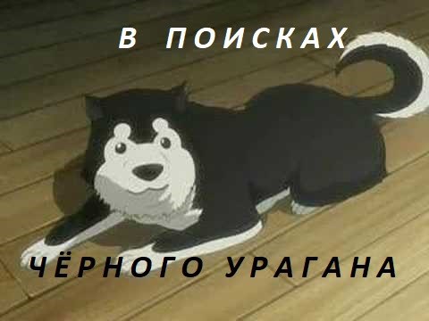 Обложка книги FMA: В поисках Чёрного Урагана или сказ о том, как Рой Мустанг завёл себе кошку