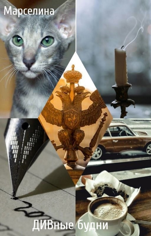 Обложка книги Дивные будни