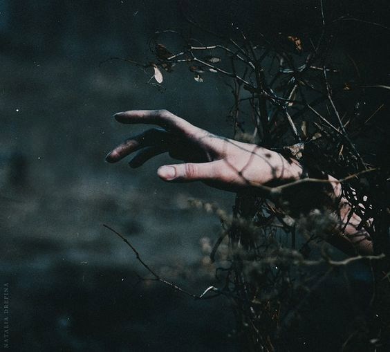 Обложка книги [со]всем