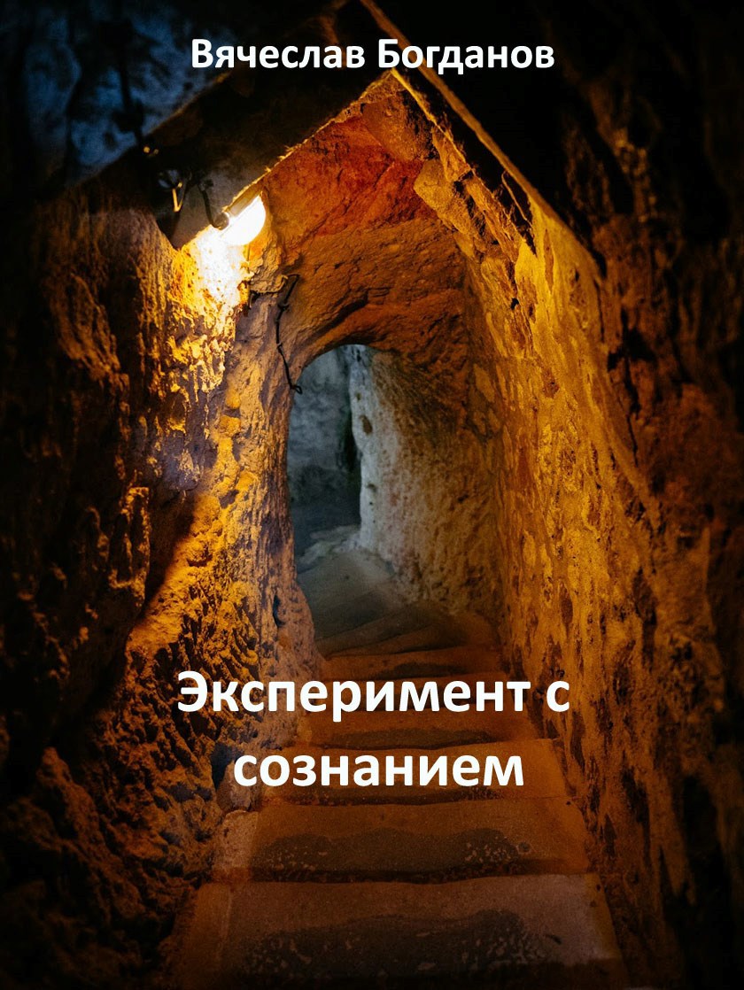 Обложка книги Эксперимент с сознанием