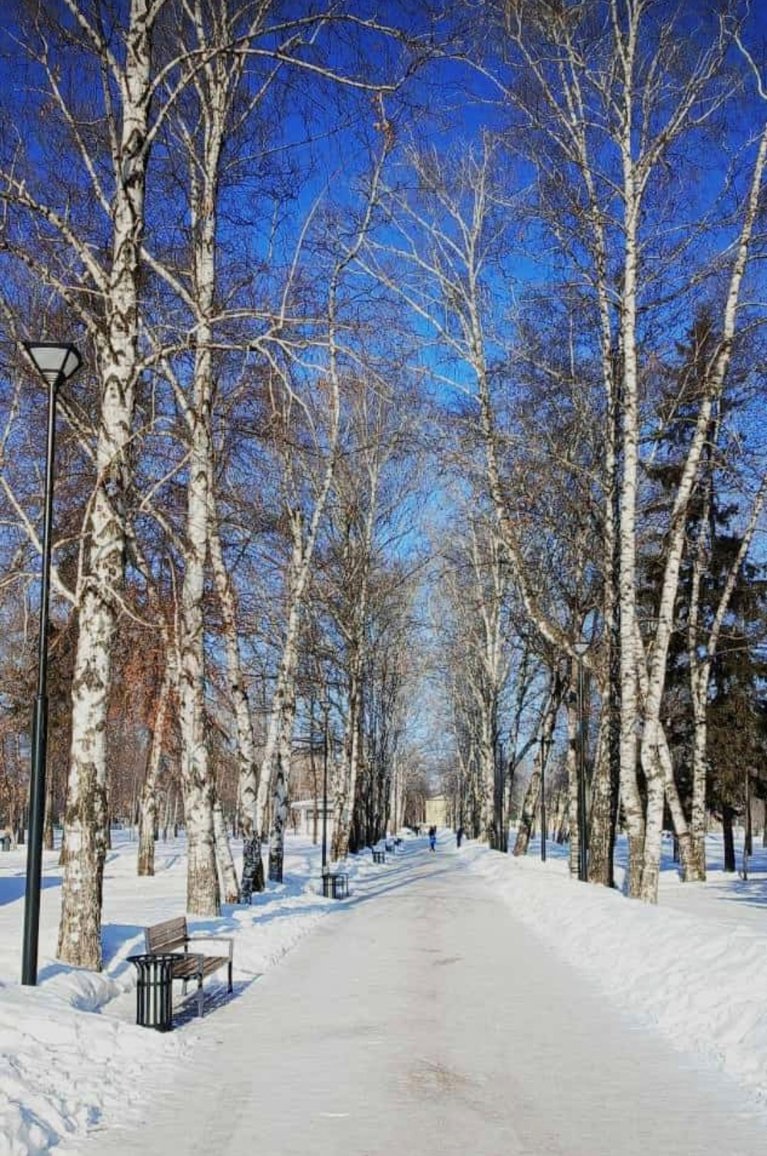 Обложка книги Любовь