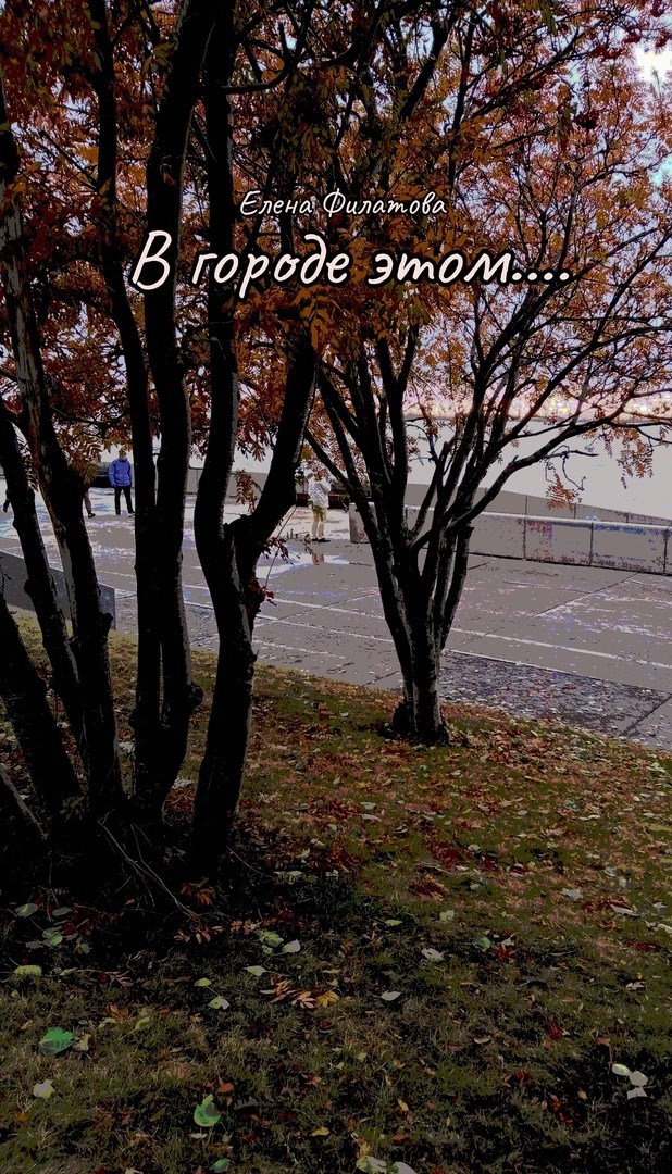 Обложка книги В городе этом