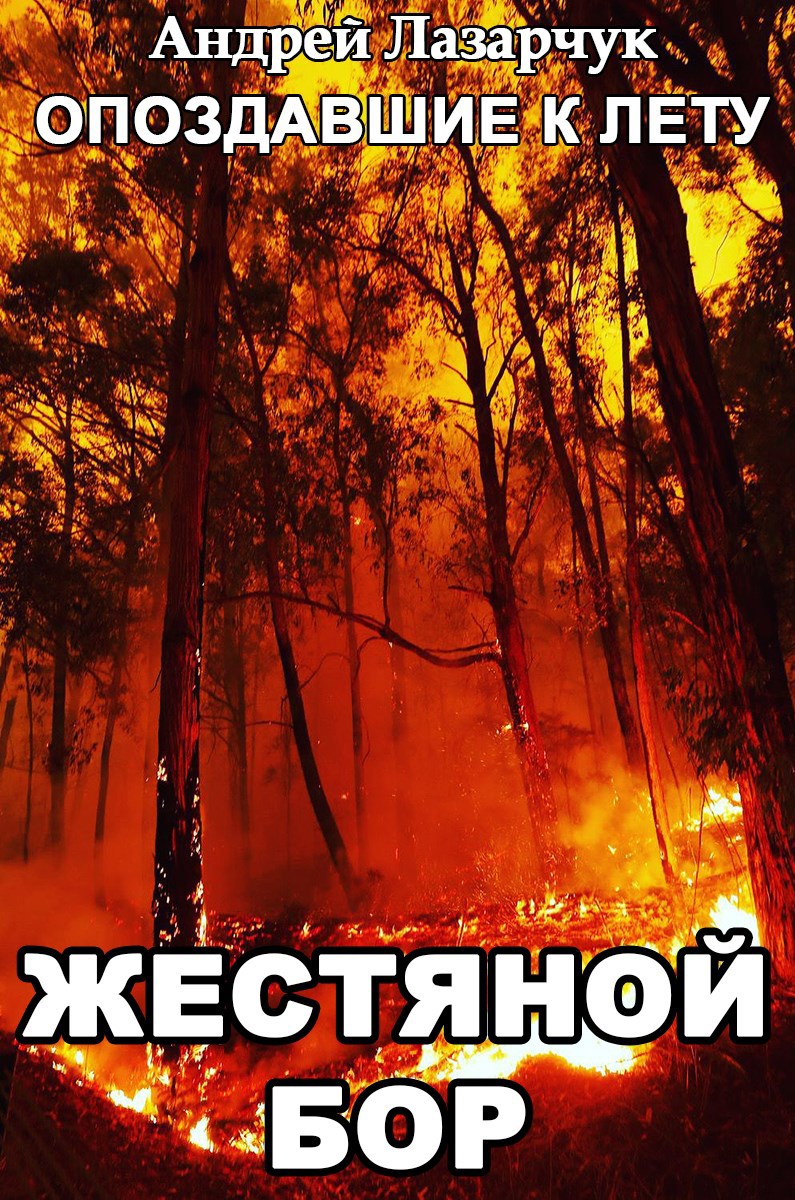 Обложка книги Жестяной бор