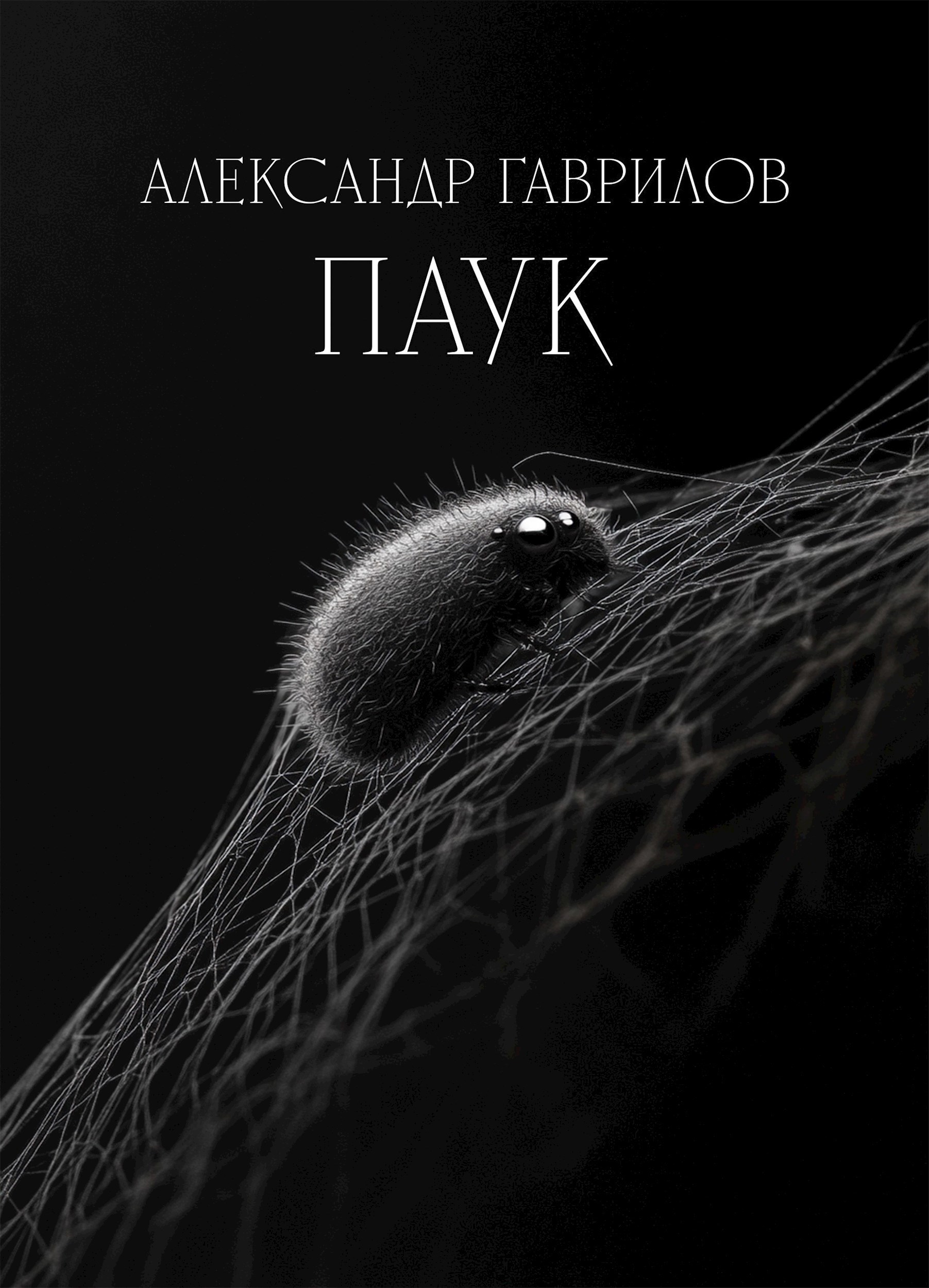 Обложка книги Паук