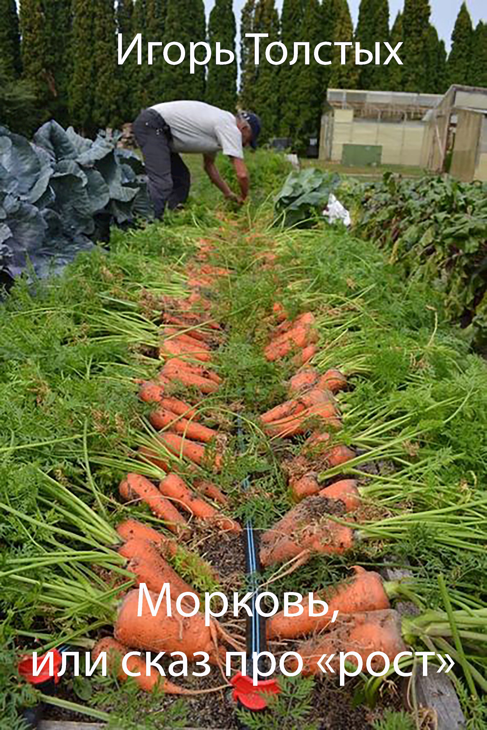 Обложка книги Морковь, или сказ про «рост»