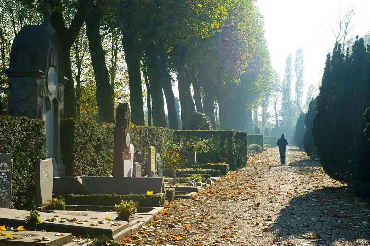Обложка книги Похоронная страховка голландца.