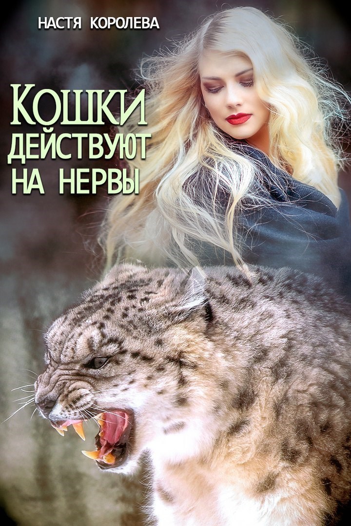 Обложка книги Кошки действуют на нервы