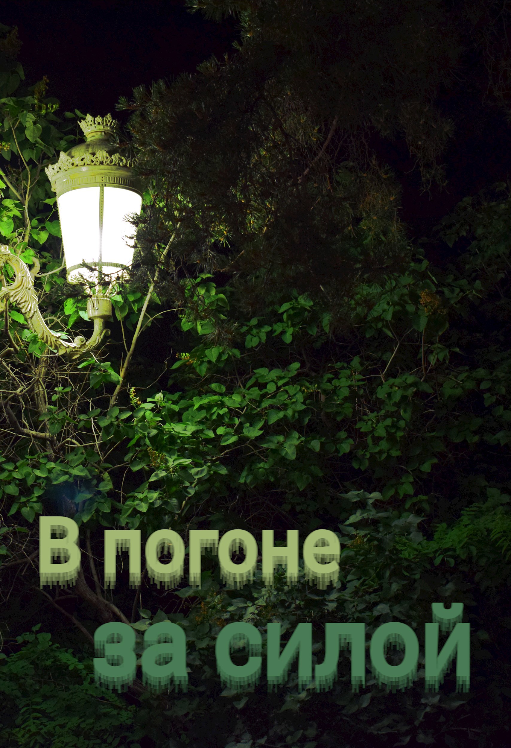 Обложка книги В погоне за силой. Легион