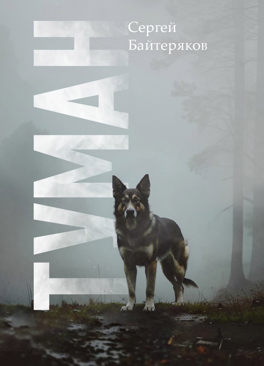 Обложка книги Туман