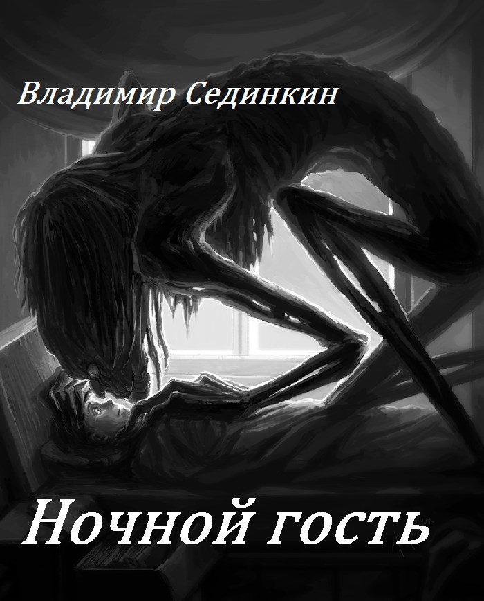 Обложка книги Ночной гость
