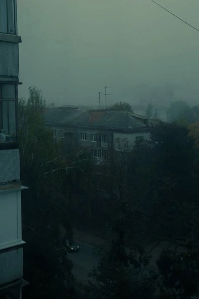 Обложка книги В осеннем лесу