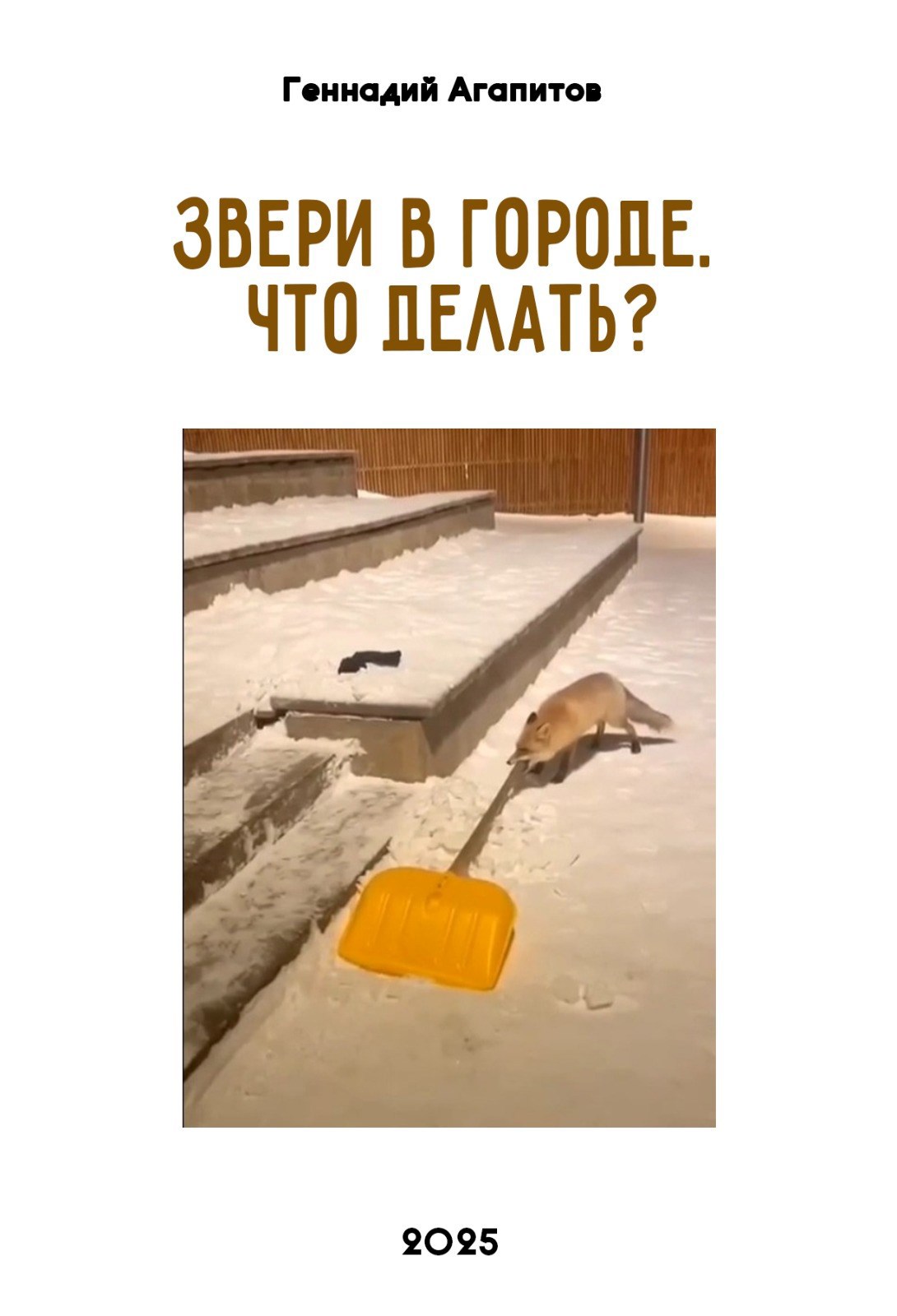 Обложка книги Звери в городе. Что делать?