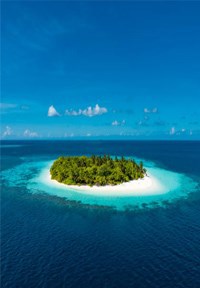 Обложка книги Смелый пловец