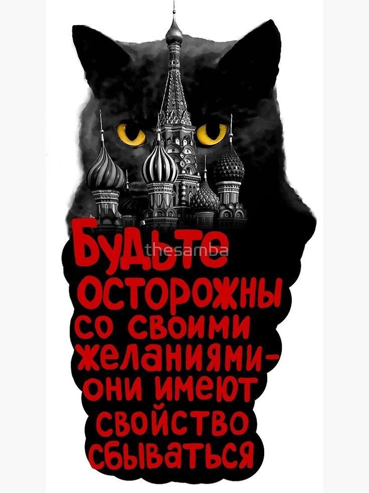 Обложка книги Stray cats Бродячие коты