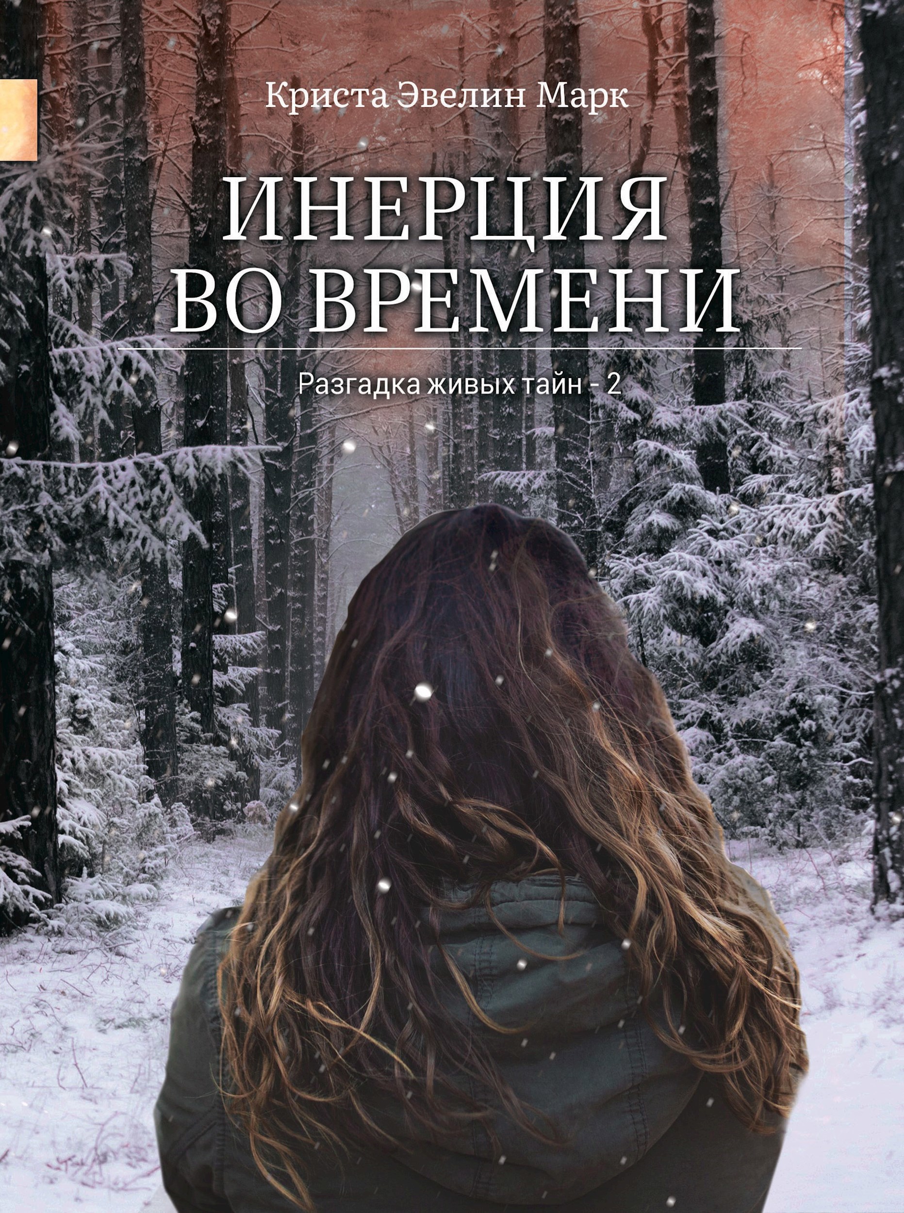 Обложка книги Инерция во времени