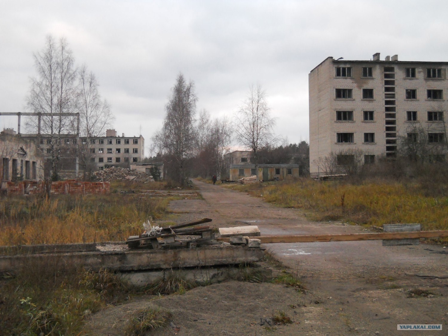 Обложка книги Зов мертвого города