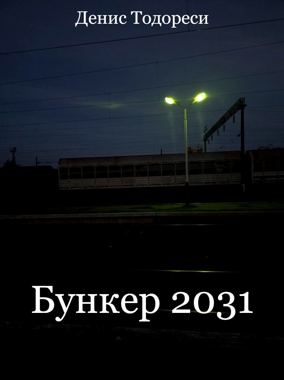 Обложка книги Бункер 2031