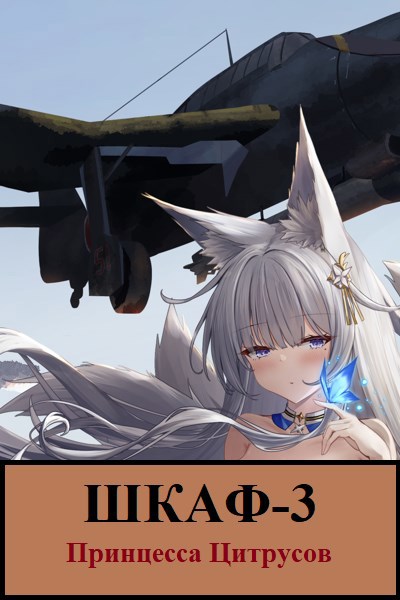 Обложка книги Шкаф-3