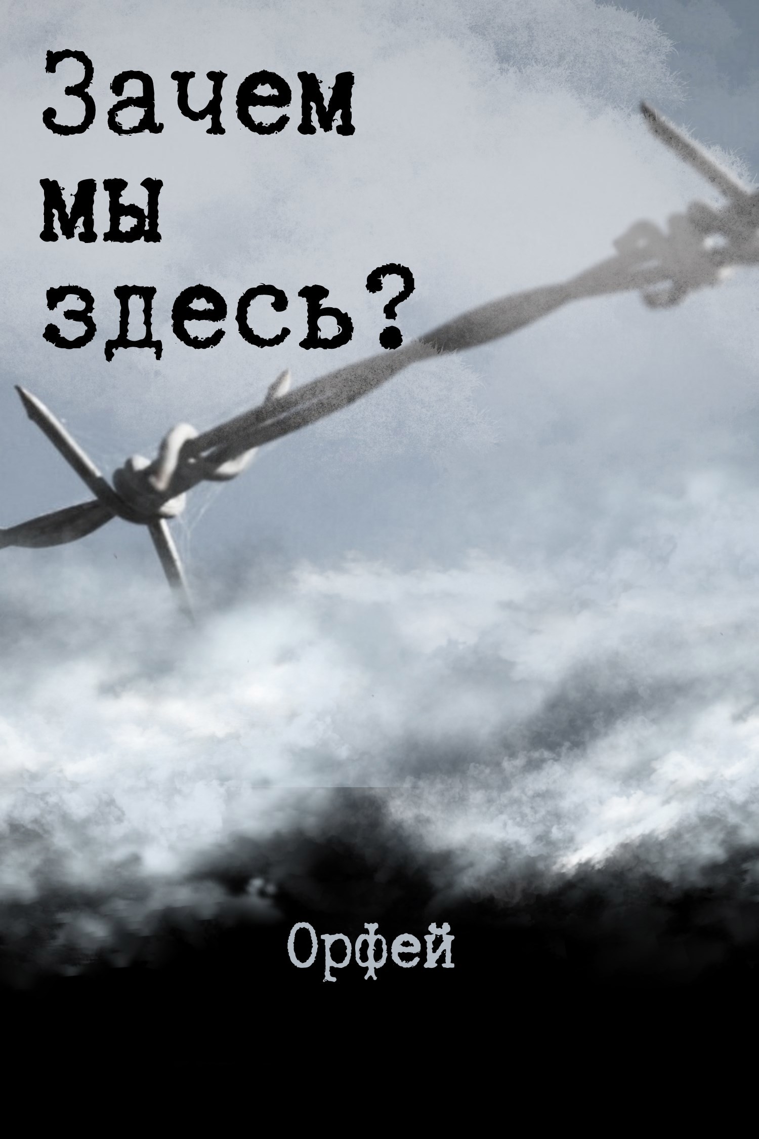 Обложка книги Зачем мы здесь?