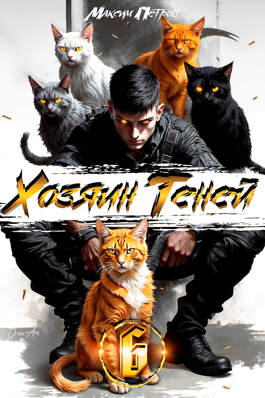 Обложка книги Хозяин Теней 6