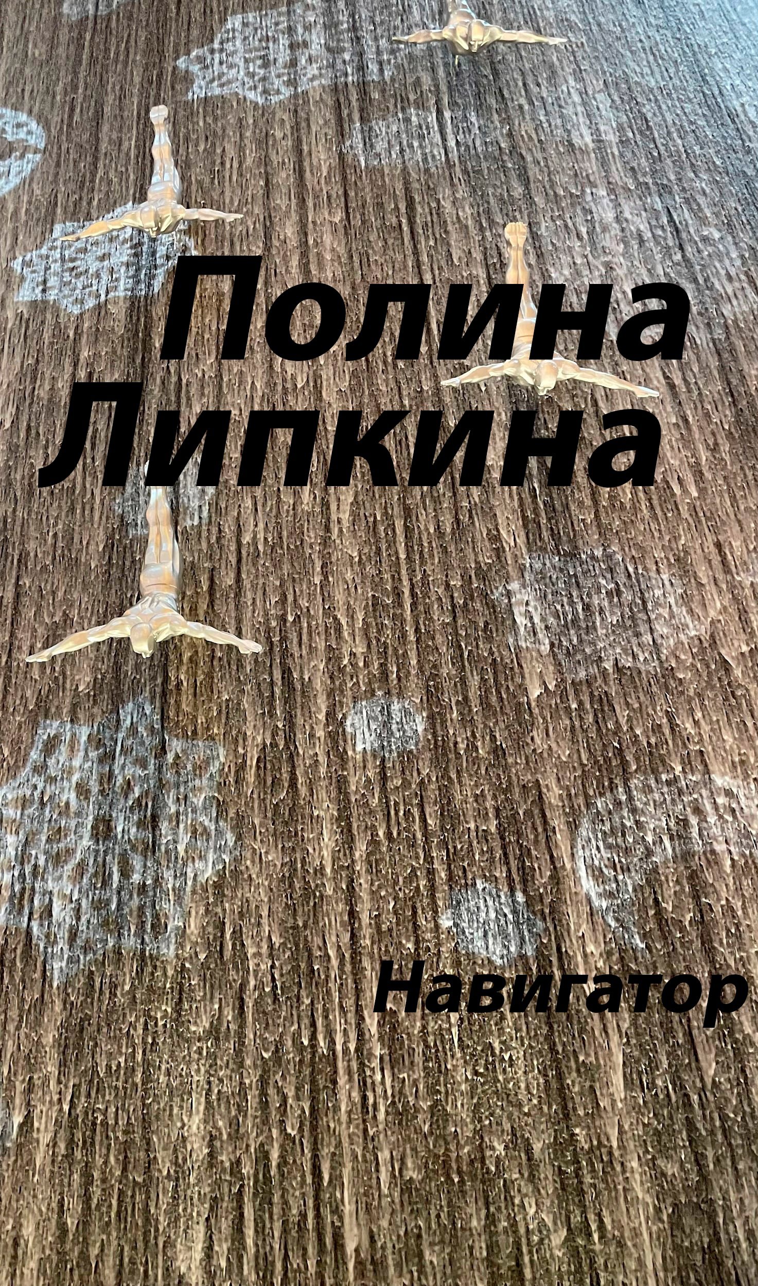 Обложка книги Навигатор