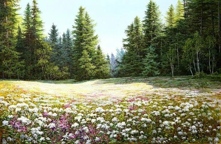 Обложка книги Портрет юности.