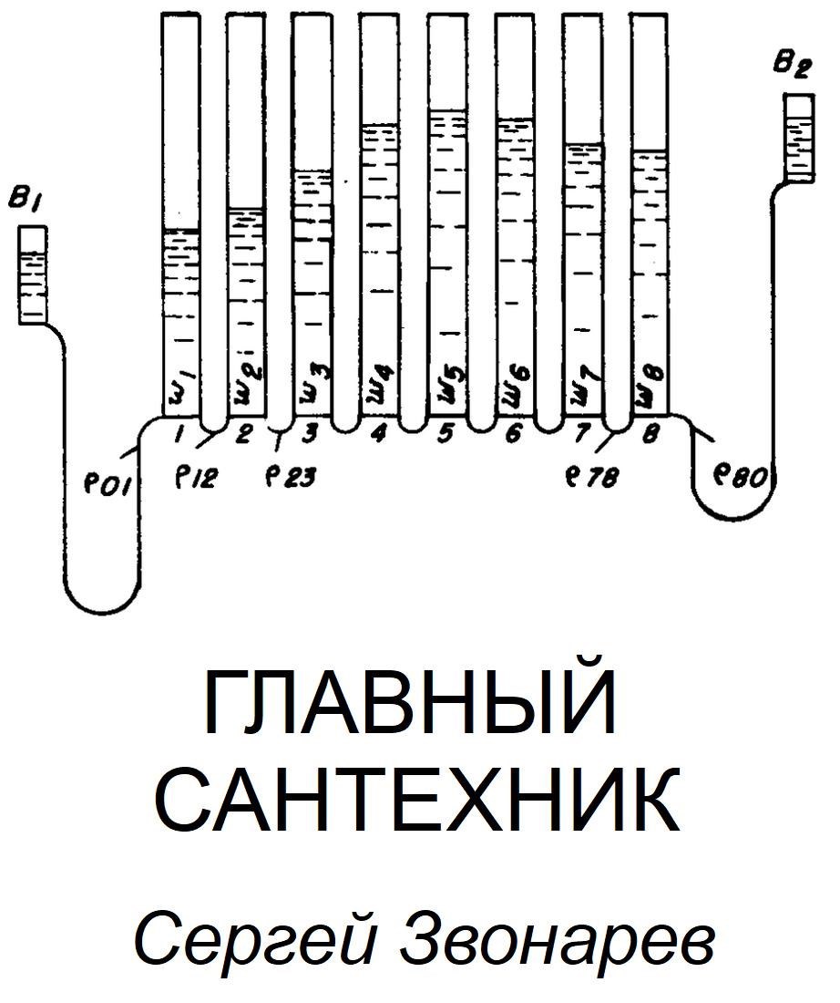 Обложка книги Главный сантехник