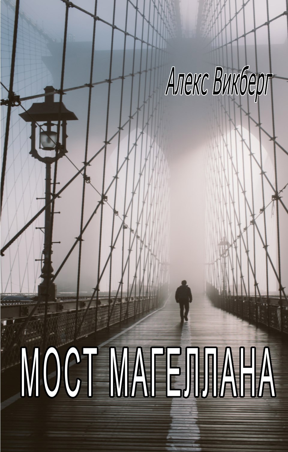 Обложка книги Мост Магеллана