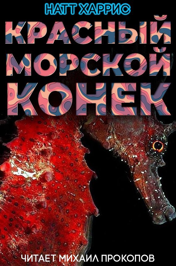 Обложка книги Красный морской конёк