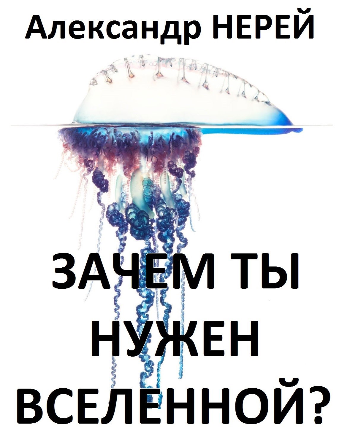 Обложка книги Зачем ты нужен вселенной?