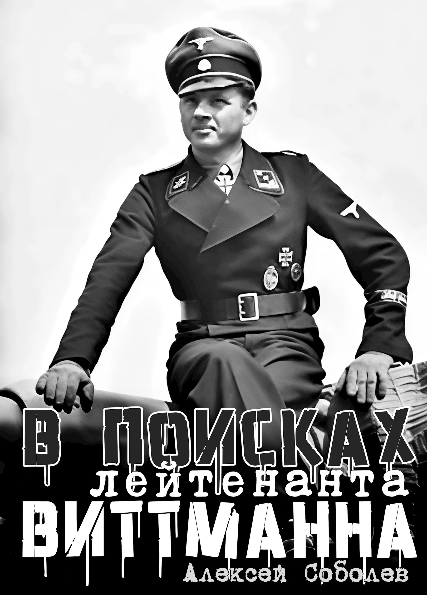 Обложка книги В поисках лейтенанта Виттманна