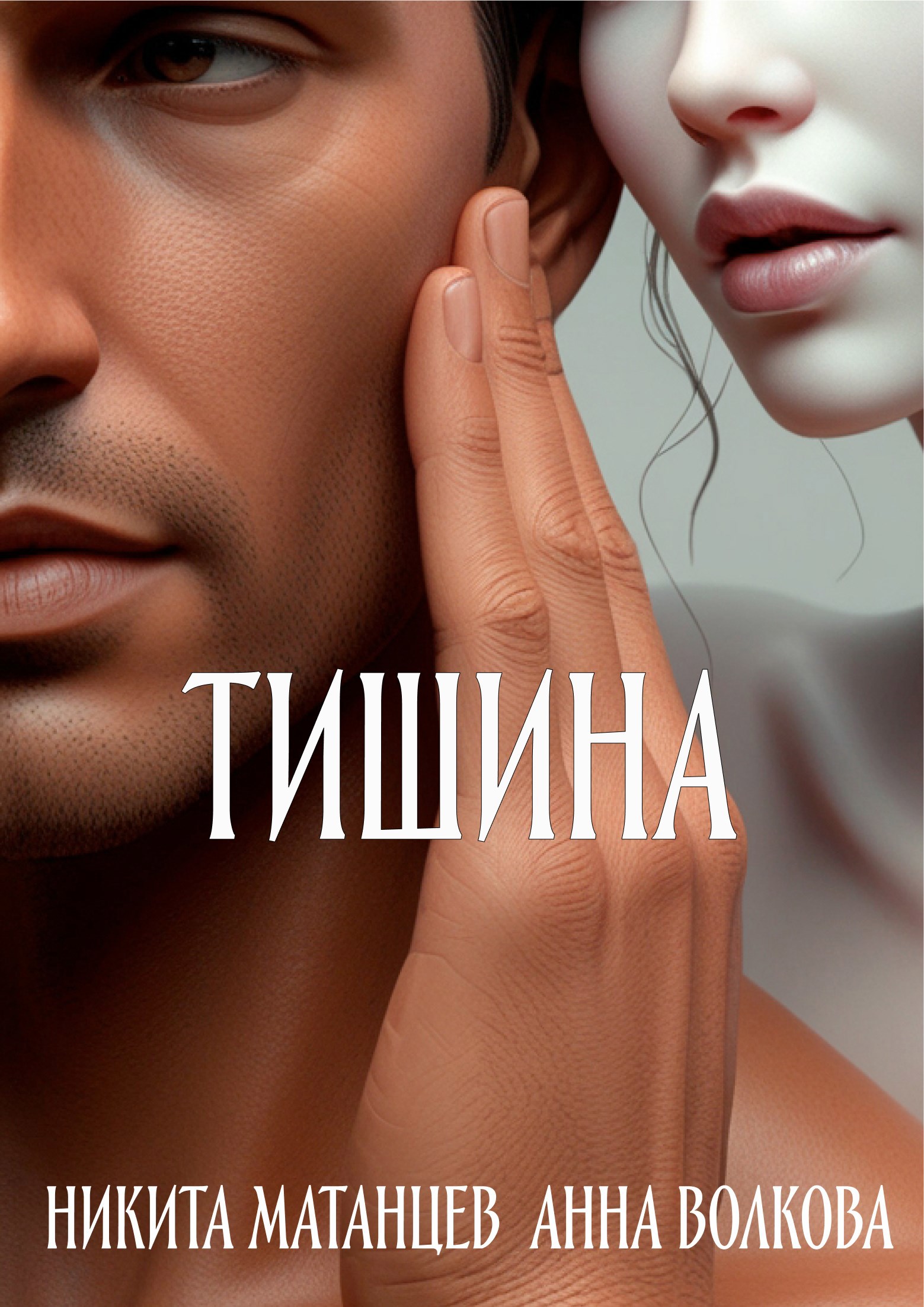Обложка книги Тишина