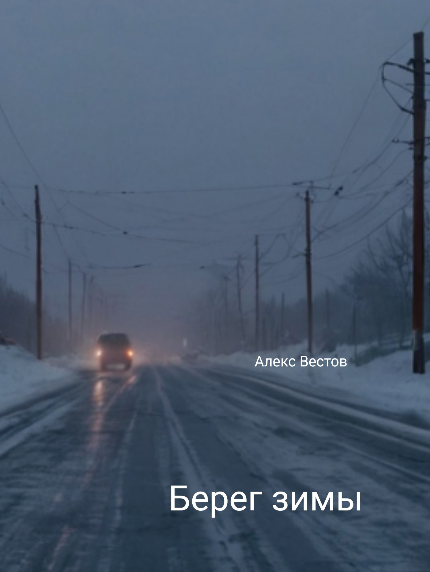Обложка книги Берег зимы