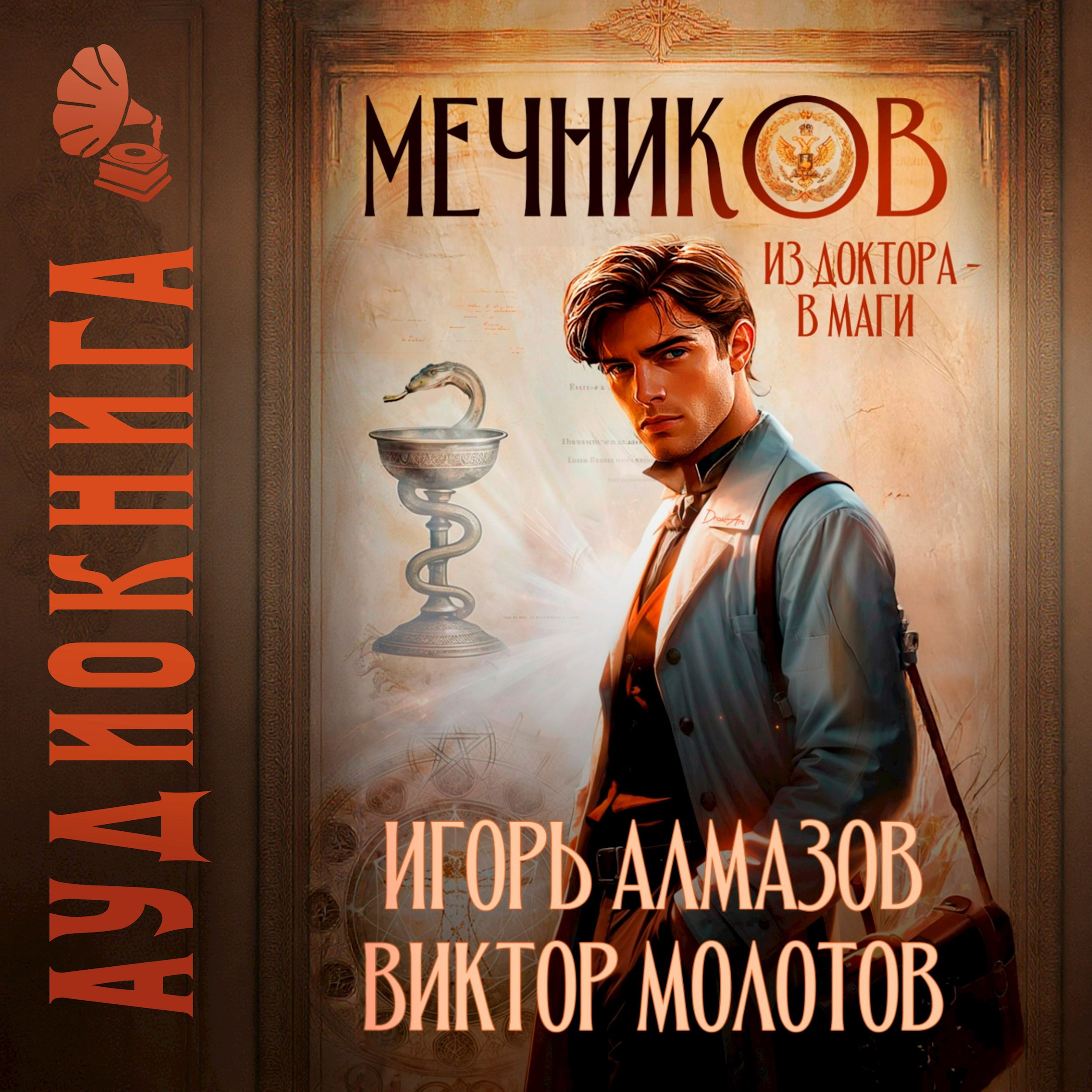 Обложка книги Мечников. Из доктора в маги