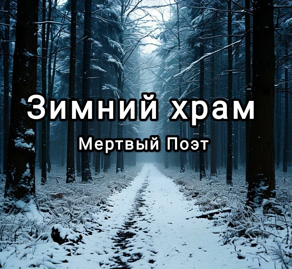 Обложка книги Зимний храм