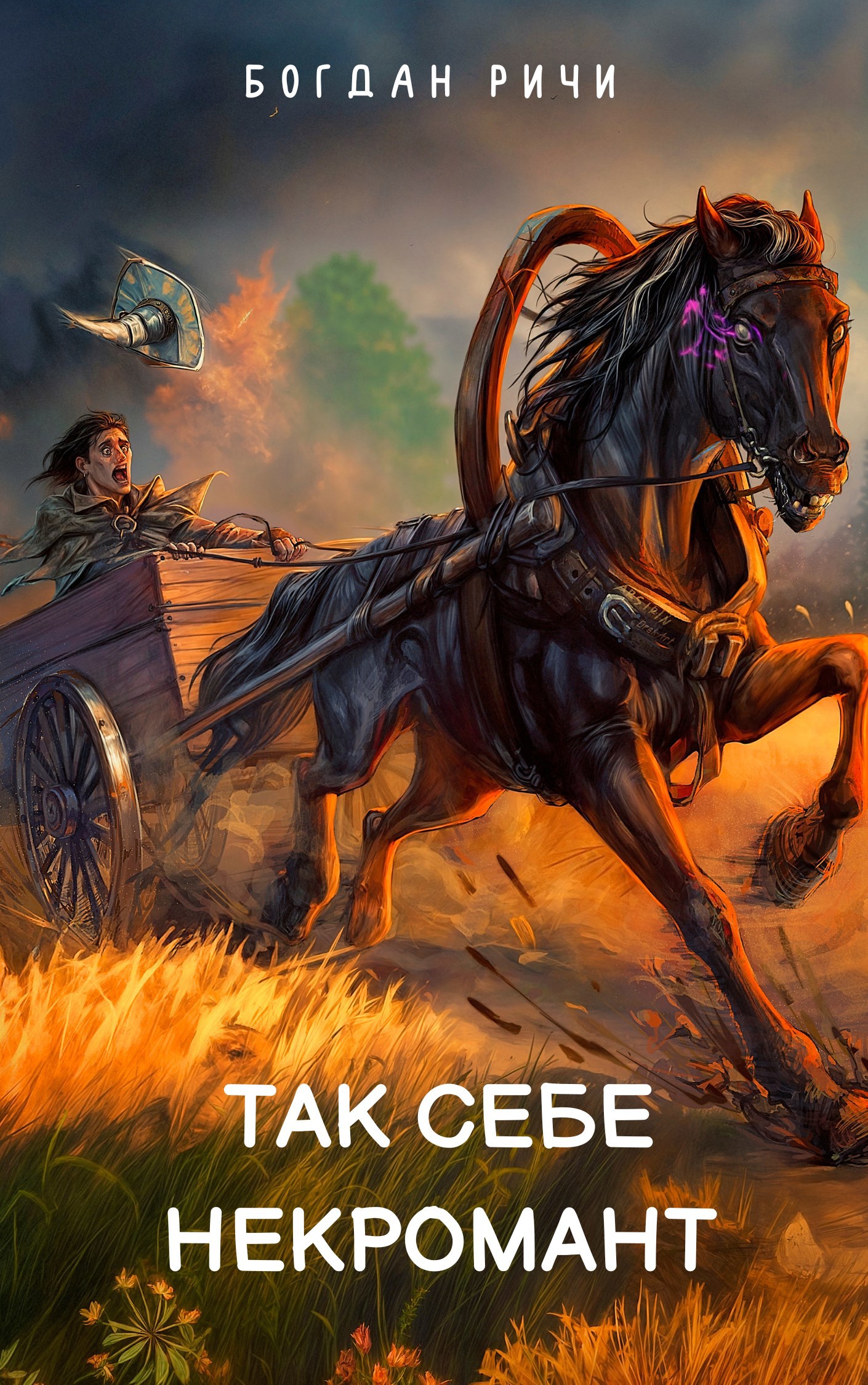 Обложка книги Так себе некромант. Книга 1
