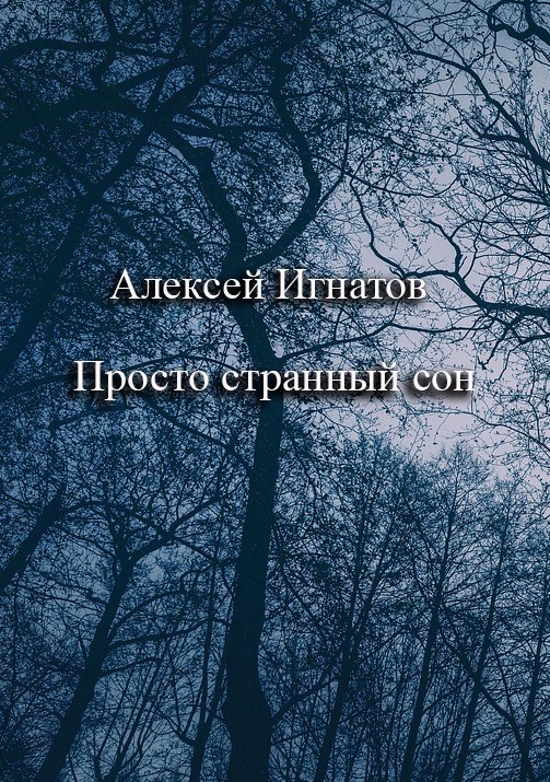Обложка книги Просто странный сон.