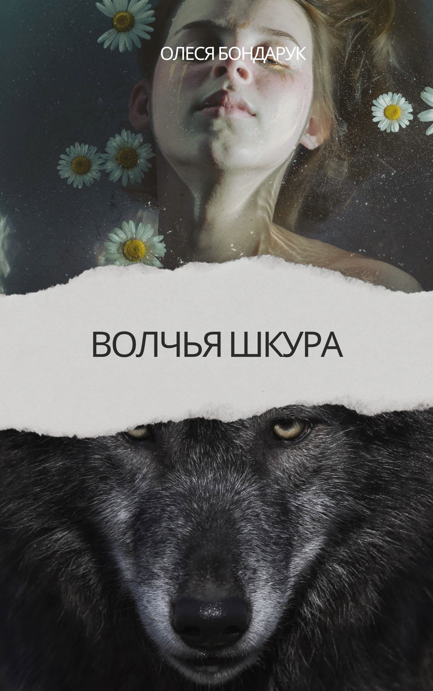 Обложка книги Волчья шкура