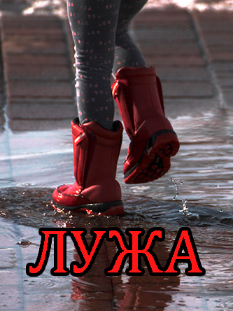 Обложка книги Лужа