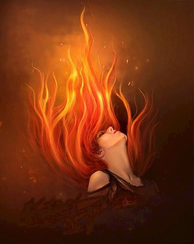 Обложка книги История не одной жизни
