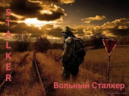 Обложка книги Вольный сталкер